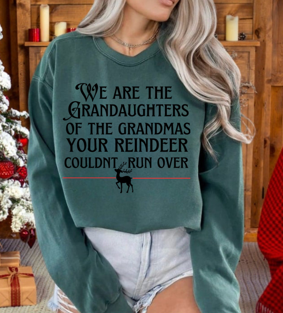 Granddaughters your reindeer couldn’t run over png