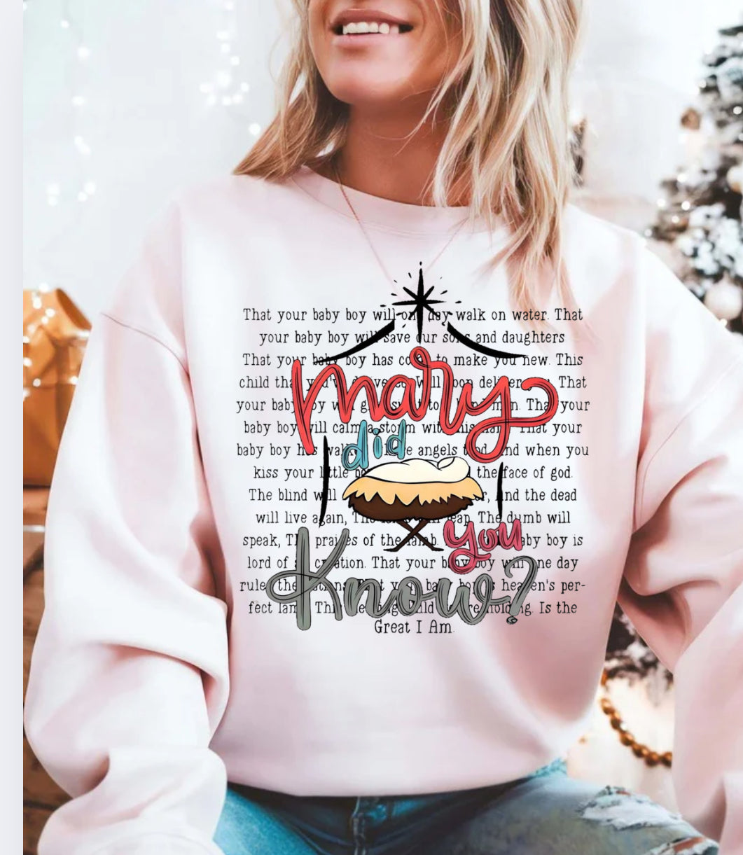 Mary did you know png