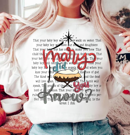 Mary did you know png