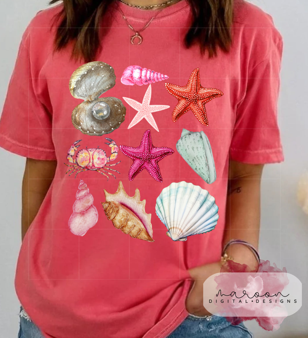 Seashells PNG FILE