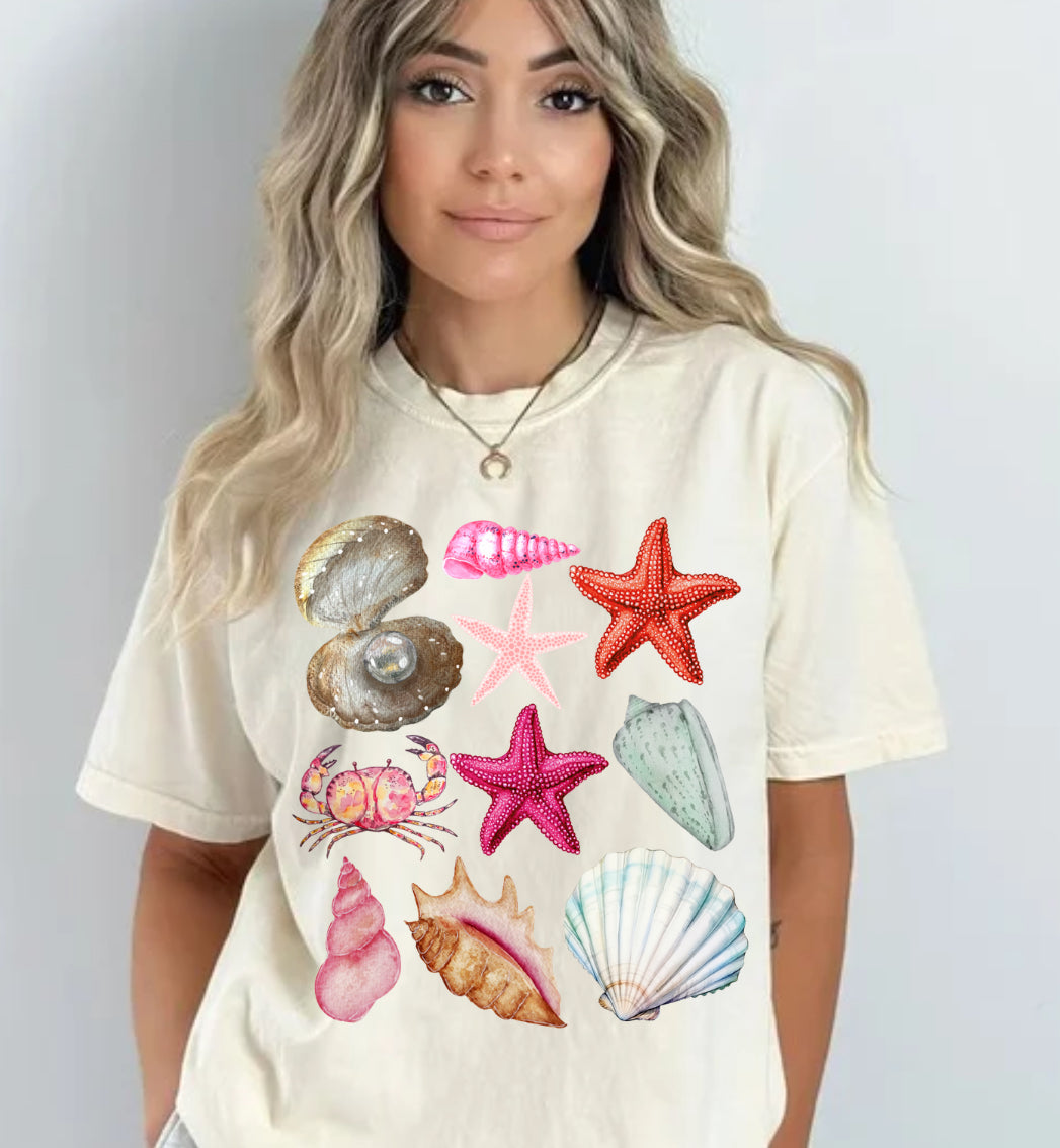 Seashells PNG FILE