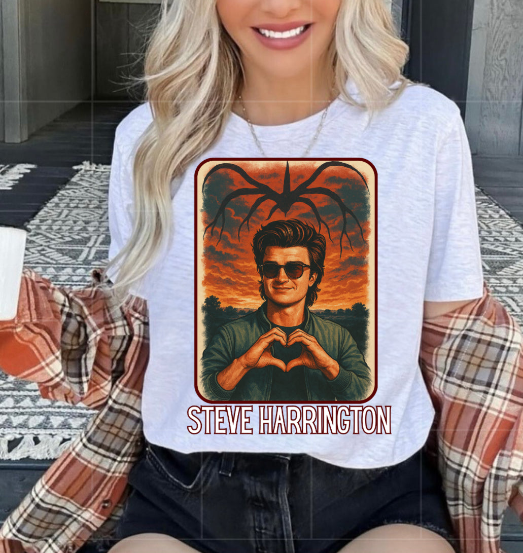 Steve Harrington - stranger things PNG