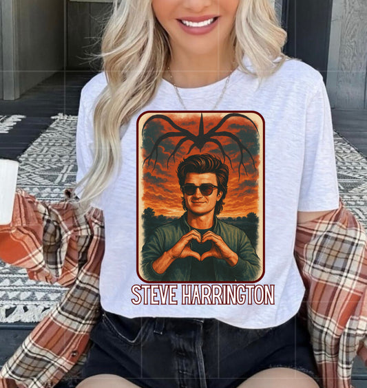 Steve Harrington - stranger things PNG