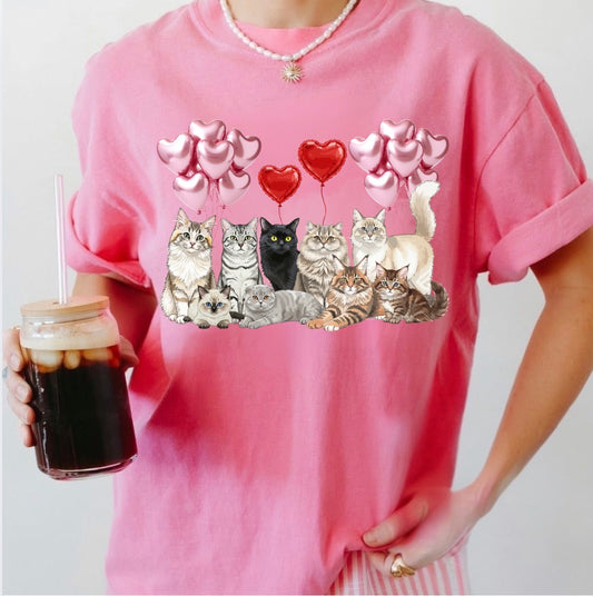 Cat Valentine’s Day PNG